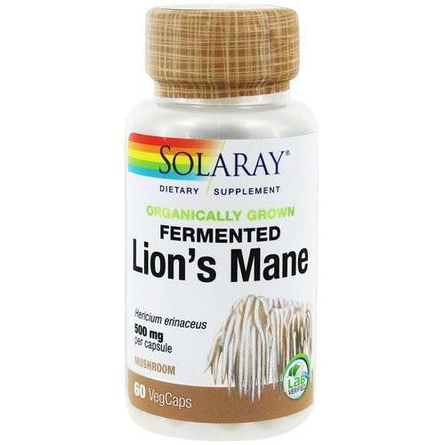 Organically Grown Fermented Lion's Mane Mushroom, Two Capsules Daily ...